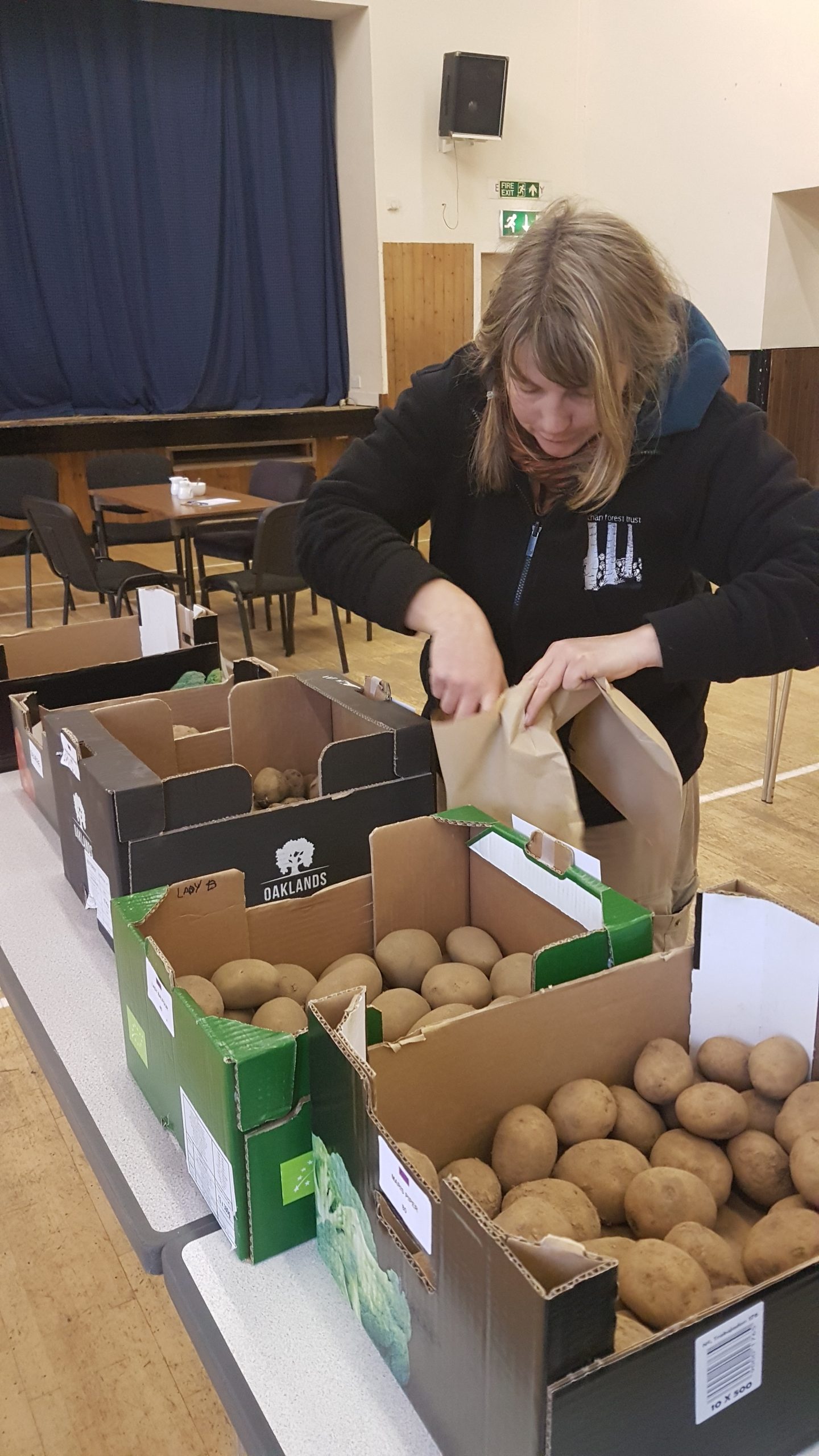 photo of person selecting seed potatoes at Tattie Sale day March 2018