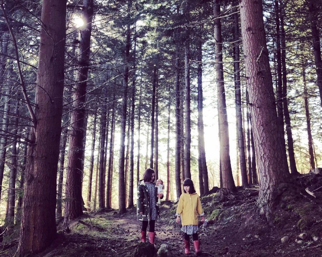 children walking in Balmacaan Woods